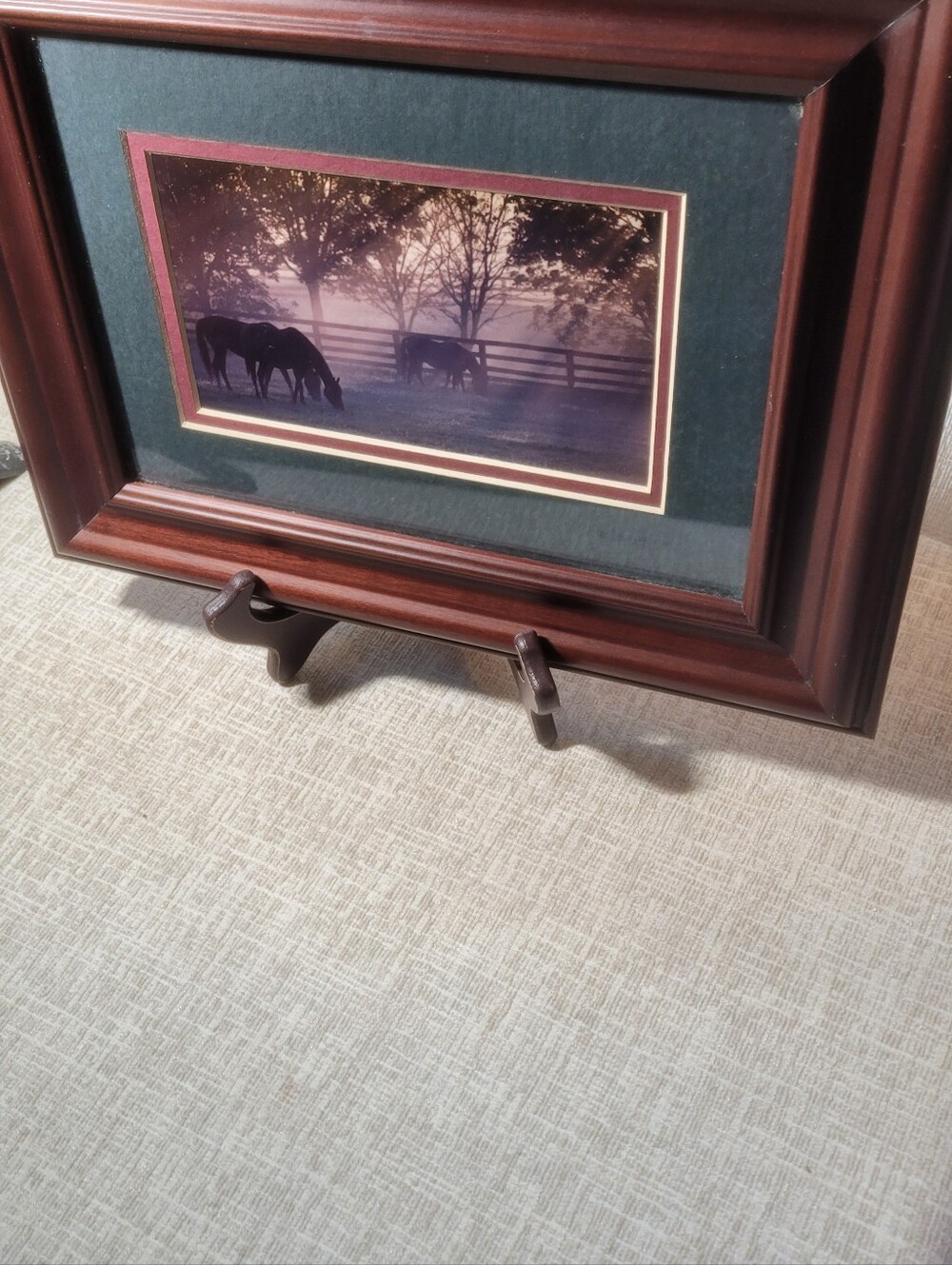 Framed print "Kentucky Morning Turnout" photographer John Stephen Hockensmith - Picture 6 of 16